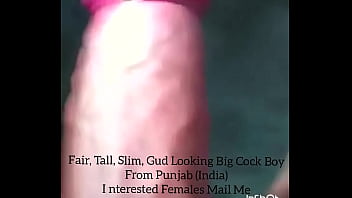 sexy the big boobs alia bhatt and sunny leone and payal chaudhary and asha chaudhary x sexy videos big boobs