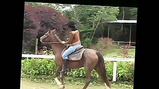 horse vs porn