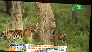 colombianas web cam