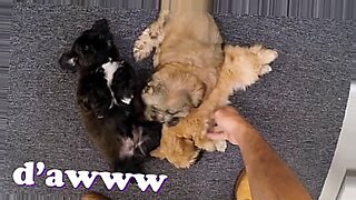 8 saal bachi baby dogs xxx