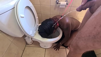 sex big cock in toilet
