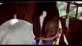 hollywood porn ful movie hindi